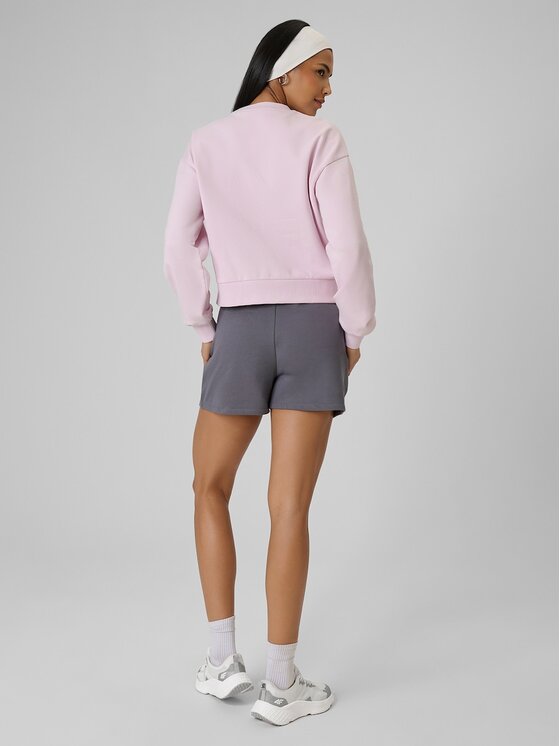 4F 4F Szorty sportowe 4FRSS26TSHOF0891-24S Szary Regular Fit