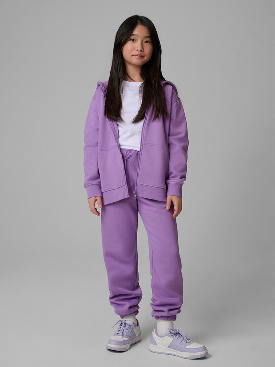 4F 4F Spodnie dresowe BASIC+ Fioletowy Regular Fit