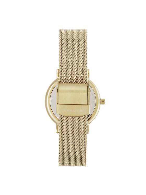 Skagen Skagen Zegarek Signatur SKW2693 Złoty