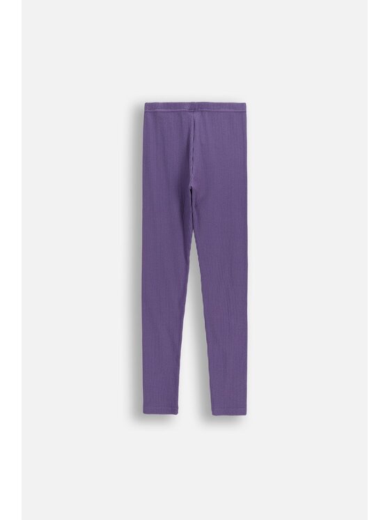 Coccodrillo Coccodrillo Legginsy WC6122101VGA-016 Fioletowy