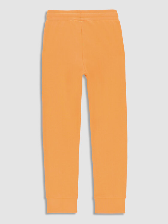 Coccodrillo Coccodrillo Долнище анцуг WC3120101DRK Оранжев Regular Fit