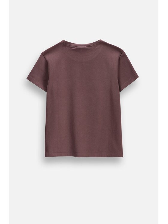 Coccodrillo Coccodrillo T-Shirt ZC6143230VGA-018 Brązowy Regular Fit