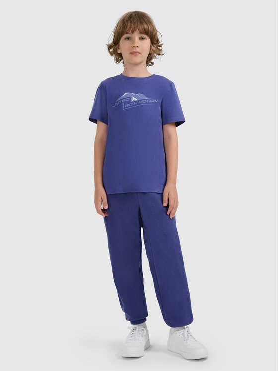4F 4F T-Shirt APRES SKI Granatowy Regular Fit