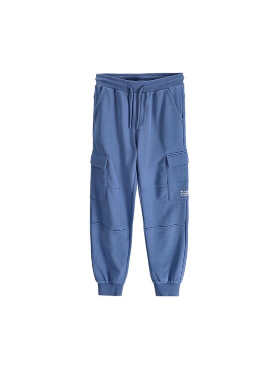 Coccodrillo Coccodrillo Spodnie dresowe ZC6120104WBJ-014 Niebieski Regular Fit