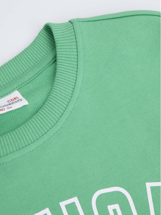 Coccodrillo Coccodrillo Felpa ZC3132101VBB Verde Regular Fit