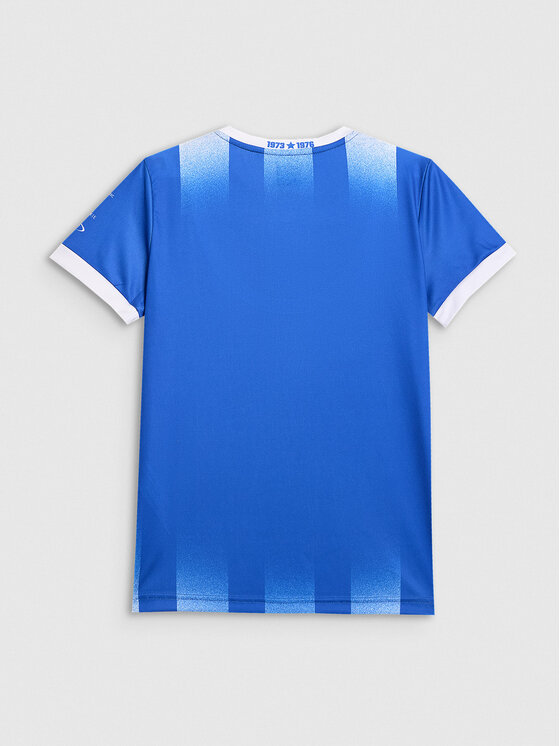 4F 4F Koszulka techniczna TEAMWEAR Kolorowy Regular Fit