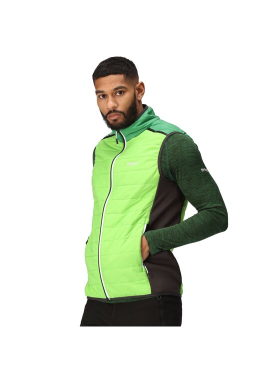 Regatta Regatta Kurtka outdoor Halton VII Zielony Ergonomic Fit