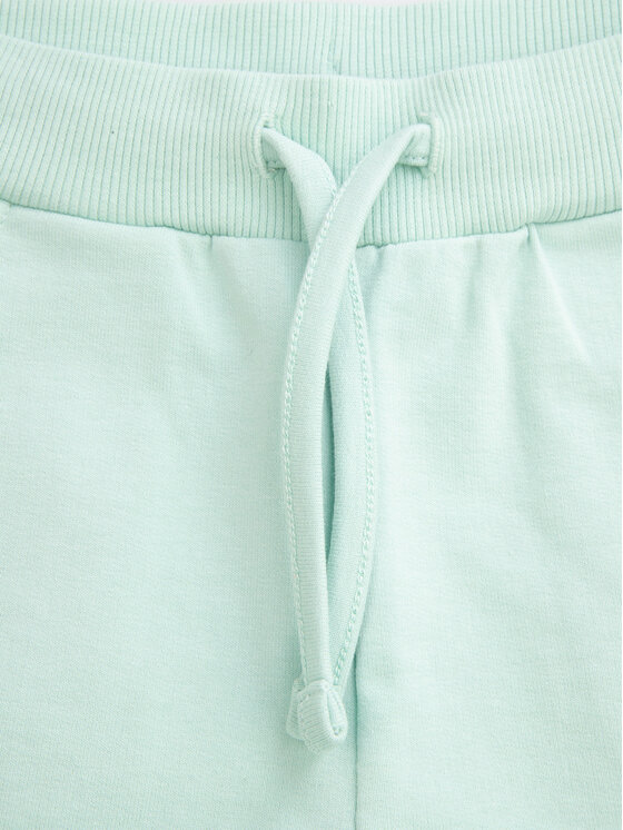 Coccodrillo Coccodrillo Sportovní kraťasy WC5120401VGC Zelená Regular Fit