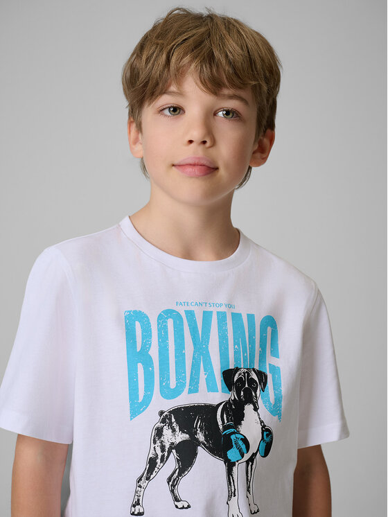 4F 4F T-Shirt STREET SPORT Biały Regular Fit