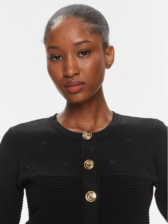 PINKO Pinko Ζακέτα Ciliegio 102881 A1LK Μαύρο Regular Fit
