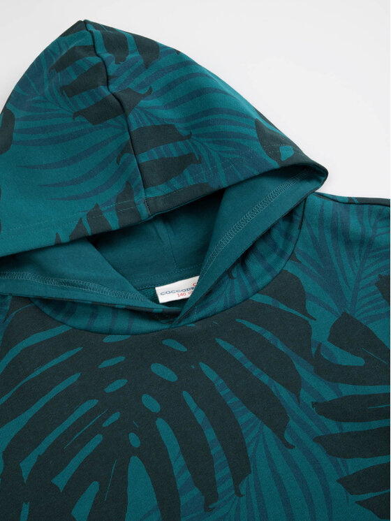 Coccodrillo Coccodrillo Felpa WC3132301JBJ Multicolore Regular Fit