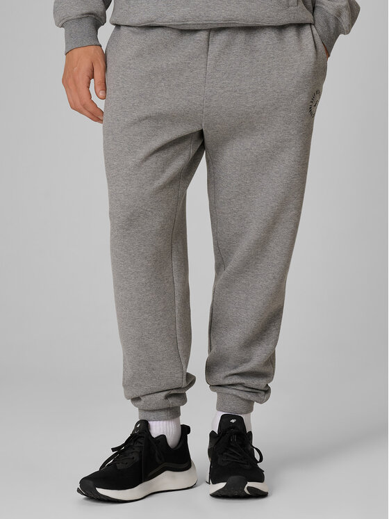 4F 4F Spodnie dresowe CITY FORM Szary Regular Fit