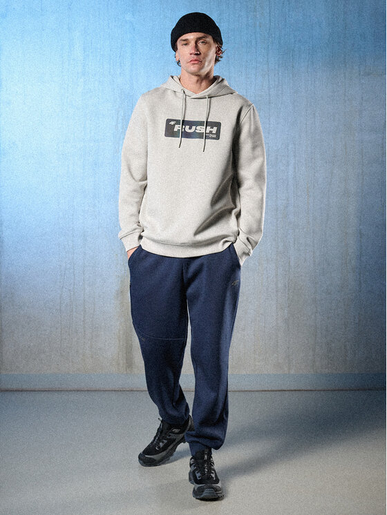 4F 4F Bluza IN MOTION Szary jasny Regular Fit