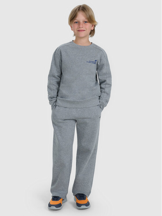 4F 4F Spodnie dresowe BASIC+ Szary Regular Fit