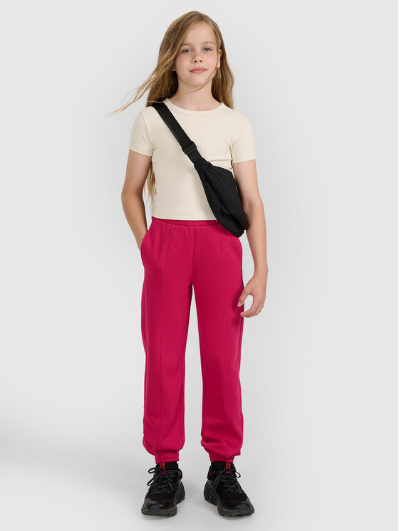 4F 4F Spodnie dresowe BASIC+ Różowy Regular Fit