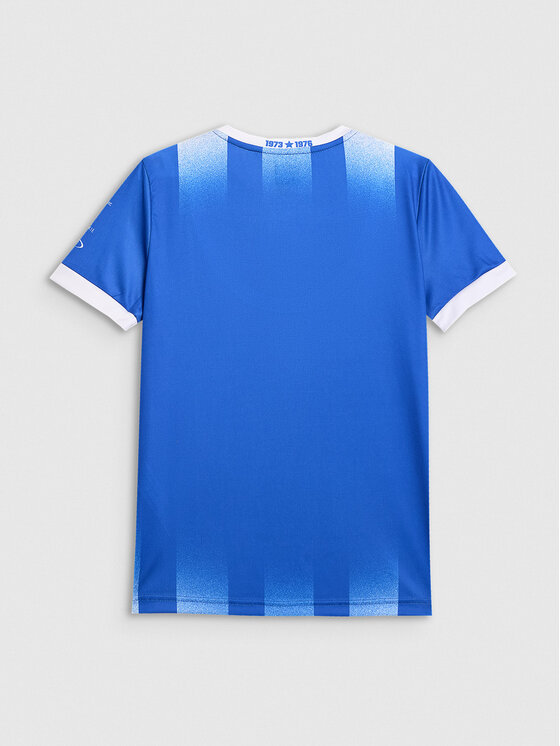 4F 4F Koszulka techniczna TEAMWEAR Kolorowy Regular Fit
