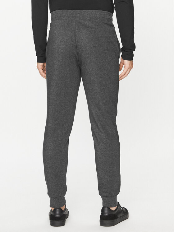 4F 4F Sporta bikses 4FAW23TTROM452 Pelēks Regular Fit