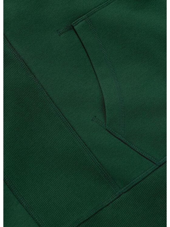 PITBULL PITBULL Bluza BADGER Zielony Regular Fit