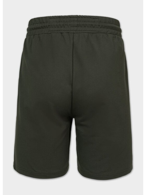 PITBULL PITBULL Szorty sportowe TAPE PARKER Zielony Regular Fit