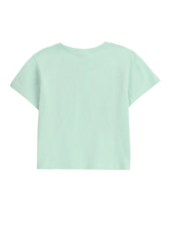 Coccodrillo Coccodrillo T-Shirt WC5143203HGJ Zielony Regular Fit
