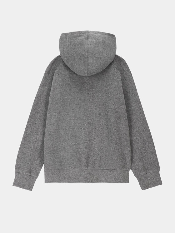 Coccodrillo Coccodrillo Sweatshirt WC4132401VBA Grau Regular Fit