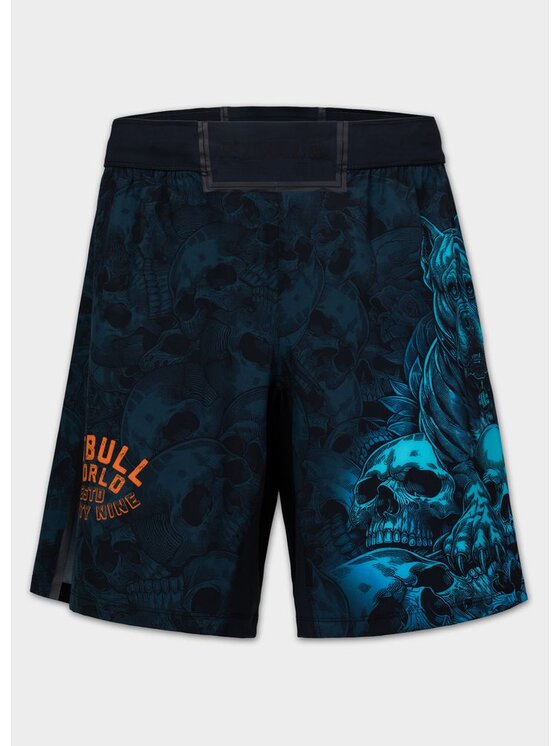 PITBULL PITBULL Szorty sportowe GUARDIAN ANGEL Czarny Regular Fit