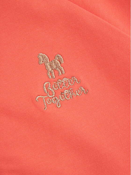 Coccodrillo Coccodrillo Sweatshirt WC5132201NGK Orange Regular Fit