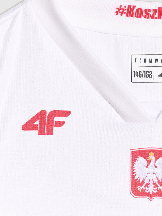 4F 4F Koszulka techniczna TEAMWEAR Kolorowy Regular Fit
