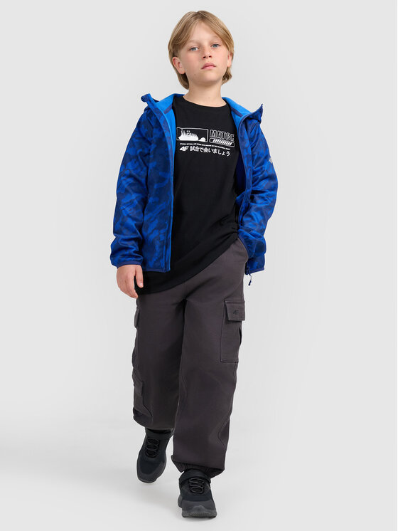 4F 4F Kurtka zimowa 4F SPORT Kolorowy Regular Fit