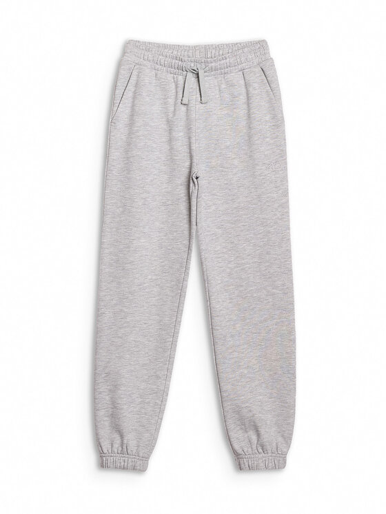 4F 4F Spodnie dresowe BASIC+ Szary Oversize