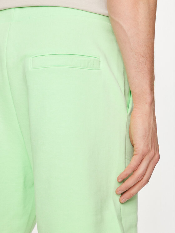 4F 4F Спортни шорти 4FWSS24TSHOM330 Зелен Regular Fit