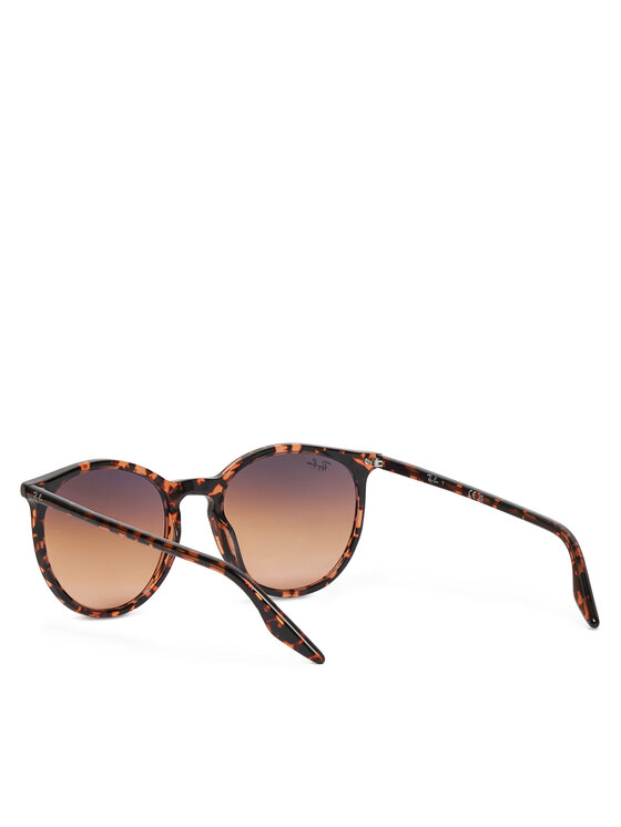 Ray-Ban Ray-Ban Sunčane naočale 0RB2204 14293B Smeđa