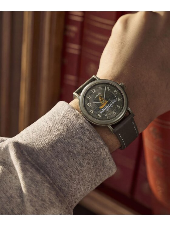 Timex Timex Hodinky TW2Y77000 Hnedá