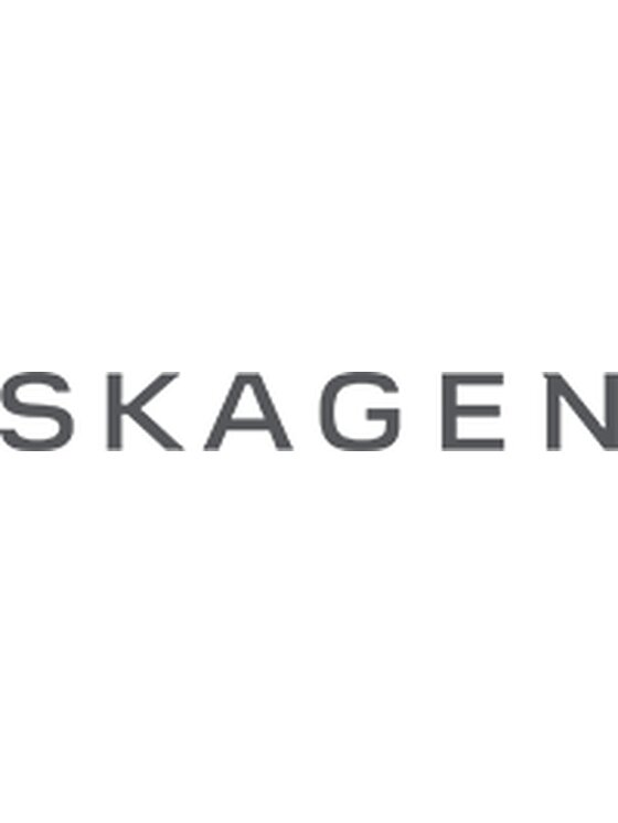 Skagen Skagen Náhrdelník SKJ0566040 Stříbrná
