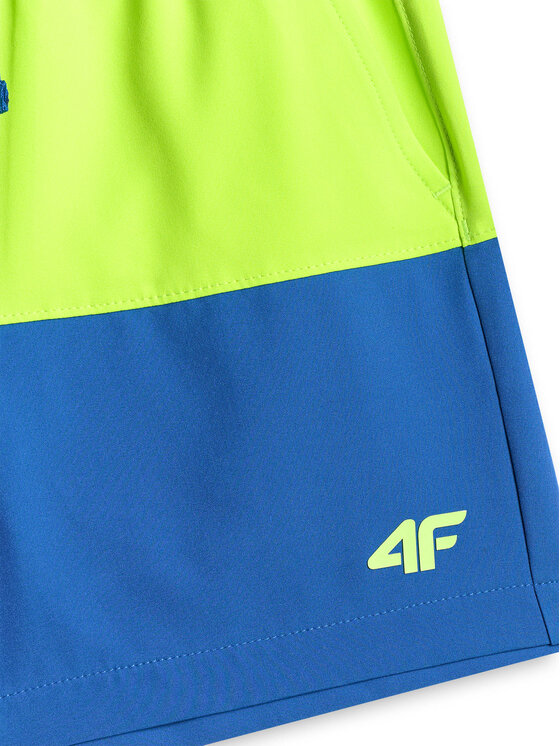 4F 4F Szorty sportowe BEACHSIDE CHILL Zielony Regular Fit