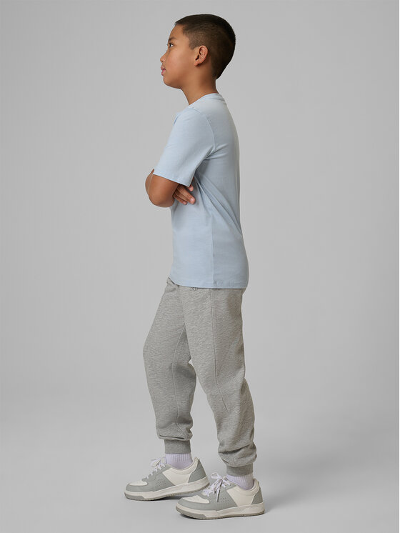 4F 4F Spodnie dresowe NOS Szary Regular Fit