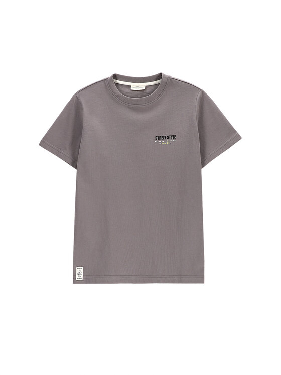 Coccodrillo T-Shirt WC5143206VBB Szary Regular Fit