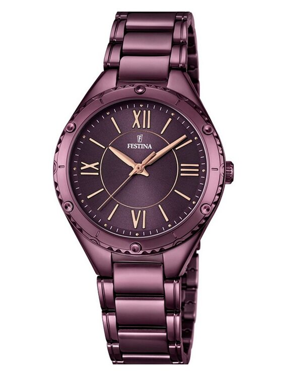 Festina Festina Zegarek 16924/2 Brązowy