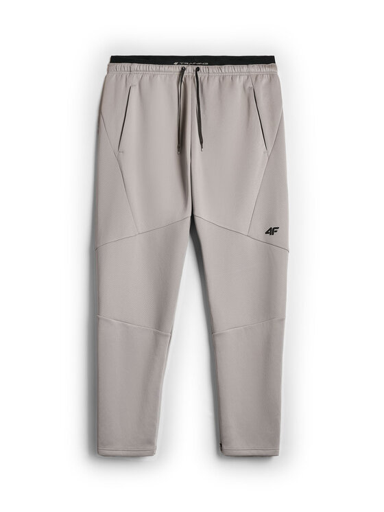 4F 4F Spodnie dresowe CORE SYSTEM Szary Regular Fit