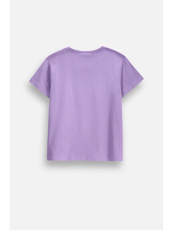 Coccodrillo Coccodrillo T-Shirt ZC6143223VGA-016 Fioletowy Regular Fit
