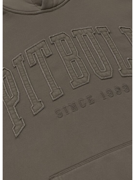 PITBULL PITBULL Bluza Washed ORLANDO Zielony Regular Fit