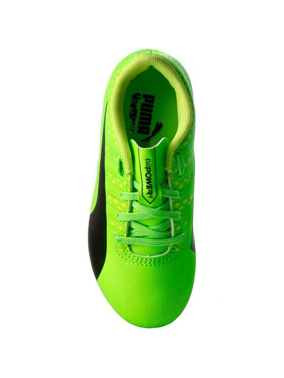 Puma bicolor evopower sales 4