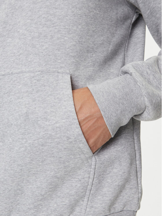 The North Face The North Face Sweatshirt Fine NF0A89EU Grau Regular Fit