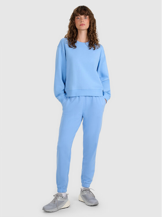 4F 4F Spodnie dresowe NOS Regular Fit