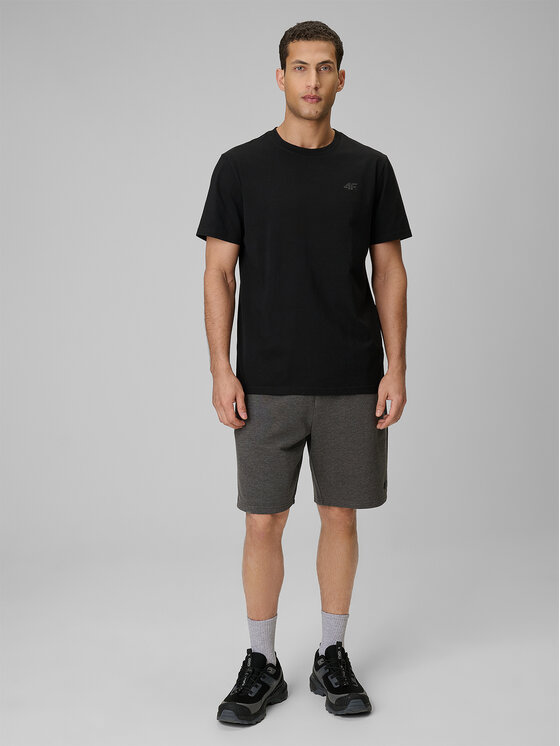 4F 4F T-Shirt ESSENTIAL 2 Kolorowy Regular Fit