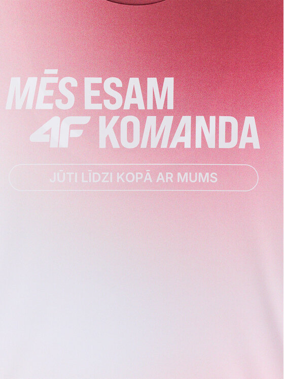 4F 4F T-Shirt TEAMWEAR Kolorowy Regular Fit
