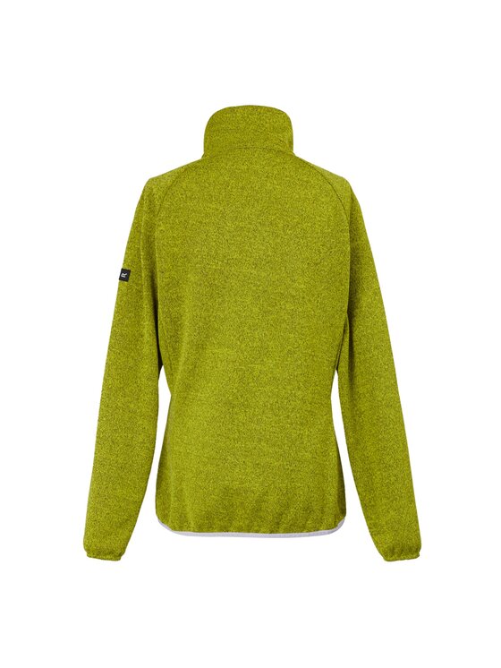 Regatta Regatta Polar Ravenhill Zielony Long Fit