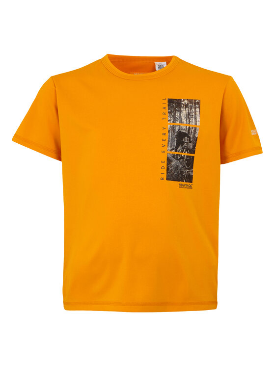 Regatta Regatta T-Shirt Alvarado IX Złoty Short Fit