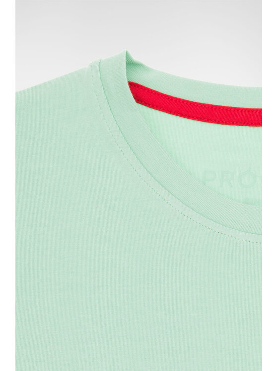 Próchnik Próchnik T-Shirt PM 2 TS073123000050 Zielony Regular Fit