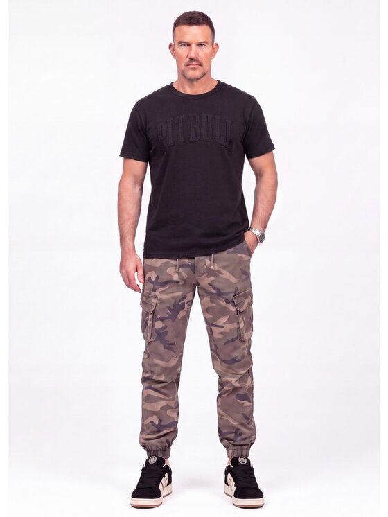PITBULL PITBULL T-Shirt NORTON APP Szary Regular Fit
